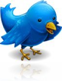 twitter_bird twitter_bird